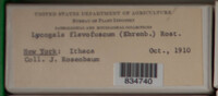 Image Associated With the Occurence